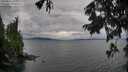 ./images/koeye/fitz-hugh/20250817/fitz-hugh20250817_181511M.jpg