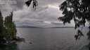 ./images/koeye/fitz-hugh/20250817/fitz-hugh20250817_182511M.jpg