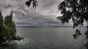 ./images/koeye/fitz-hugh/20250817/fitz-hugh20250817_184011M.jpg