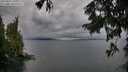 ./images/koeye/fitz-hugh/20250817/fitz-hugh20250817_192509M.jpg