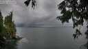 ./images/koeye/fitz-hugh/20250817/fitz-hugh20250817_193509M.jpg