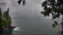 ./images/koeye/fitz-hugh/20250817/fitz-hugh20250817_194508M.jpg