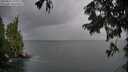 ./images/koeye/fitz-hugh/20250817/fitz-hugh20250817_195506M.jpg