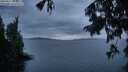 ./images/koeye/fitz-hugh/20250817/fitz-hugh20250817_210008M.jpg