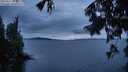 ./images/koeye/fitz-hugh/20250817/fitz-hugh20250817_210509M.jpg
