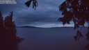 ./images/koeye/fitz-hugh/20250817/fitz-hugh20250817_212507M.jpg
