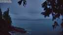 ./images/koeye/fitz-hugh/20250818/fitz-hugh20250818_055508M.jpg