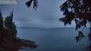 ./images/koeye/fitz-hugh/20250818/fitz-hugh20250818_060009M.jpg