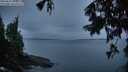 ./images/koeye/fitz-hugh/20250818/fitz-hugh20250818_060510M.jpg