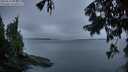 ./images/koeye/fitz-hugh/20250818/fitz-hugh20250818_061511M.jpg