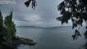 ./images/koeye/fitz-hugh/20250818/fitz-hugh20250818_063012M.jpg