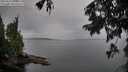 ./images/koeye/fitz-hugh/20250818/fitz-hugh20250818_080510M.jpg