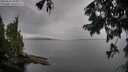 ./images/koeye/fitz-hugh/20250818/fitz-hugh20250818_081511M.jpg