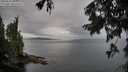 ./images/koeye/fitz-hugh/20250818/fitz-hugh20250818_083011M.jpg
