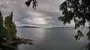 ./images/koeye/fitz-hugh/20250818/fitz-hugh20250818_085009M.jpg