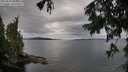 ./images/koeye/fitz-hugh/20250818/fitz-hugh20250818_085511M.jpg