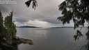 ./images/koeye/fitz-hugh/20250818/fitz-hugh20250818_090012M.jpg
