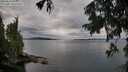 ./images/koeye/fitz-hugh/20250818/fitz-hugh20250818_091011M.jpg