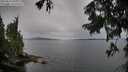 ./images/koeye/fitz-hugh/20250818/fitz-hugh20250818_095509M.jpg