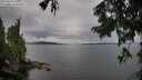 ./images/koeye/fitz-hugh/20250818/fitz-hugh20250818_101009M.jpg