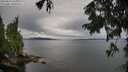./images/koeye/fitz-hugh/20250818/fitz-hugh20250818_102511M.jpg