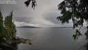 ./images/koeye/fitz-hugh/20250818/fitz-hugh20250818_103511M.jpg