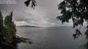 ./images/koeye/fitz-hugh/20250818/fitz-hugh20250818_104511M.jpg