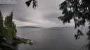 ./images/koeye/fitz-hugh/20250818/fitz-hugh20250818_110510M.jpg