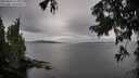 ./images/koeye/fitz-hugh/20250818/fitz-hugh20250818_111510M.jpg