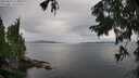 ./images/koeye/fitz-hugh/20250818/fitz-hugh20250818_113510M.jpg