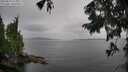 ./images/koeye/fitz-hugh/20250818/fitz-hugh20250818_115510M.jpg