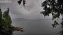 ./images/koeye/fitz-hugh/20250818/fitz-hugh20250818_123509M.jpg
