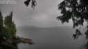 ./images/koeye/fitz-hugh/20250818/fitz-hugh20250818_125509M.jpg