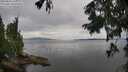 ./images/koeye/fitz-hugh/20250818/fitz-hugh20250818_144010M.jpg