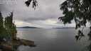./images/koeye/fitz-hugh/20250818/fitz-hugh20250818_145011M.jpg