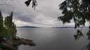 ./images/koeye/fitz-hugh/20250818/fitz-hugh20250818_145510M.jpg