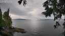 ./images/koeye/fitz-hugh/20250818/fitz-hugh20250818_150510M.jpg