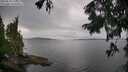 ./images/koeye/fitz-hugh/20250818/fitz-hugh20250818_151011M.jpg