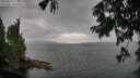 ./images/koeye/fitz-hugh/20250818/fitz-hugh20250818_173509M.jpg