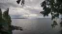./images/koeye/fitz-hugh/20250818/fitz-hugh20250818_180012M.jpg