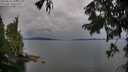 ./images/koeye/fitz-hugh/20250818/fitz-hugh20250818_191009M.jpg