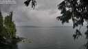 ./images/koeye/fitz-hugh/20250818/fitz-hugh20250818_194508M.jpg