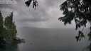 ./images/koeye/fitz-hugh/20250818/fitz-hugh20250818_200509M.jpg