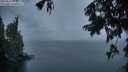 ./images/koeye/fitz-hugh/20250818/fitz-hugh20250818_204008M.jpg
