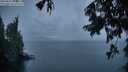 ./images/koeye/fitz-hugh/20250818/fitz-hugh20250818_204508M.jpg