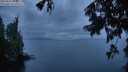 ./images/koeye/fitz-hugh/20250818/fitz-hugh20250818_205508M.jpg
