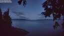 ./images/koeye/fitz-hugh/20250819/fitz-hugh20250819_054009M.jpg