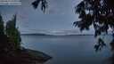 ./images/koeye/fitz-hugh/20250819/fitz-hugh20250819_055508M.jpg