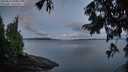 ./images/koeye/fitz-hugh/20250819/fitz-hugh20250819_060011M.jpg