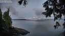 ./images/koeye/fitz-hugh/20250819/fitz-hugh20250819_060511M.jpg